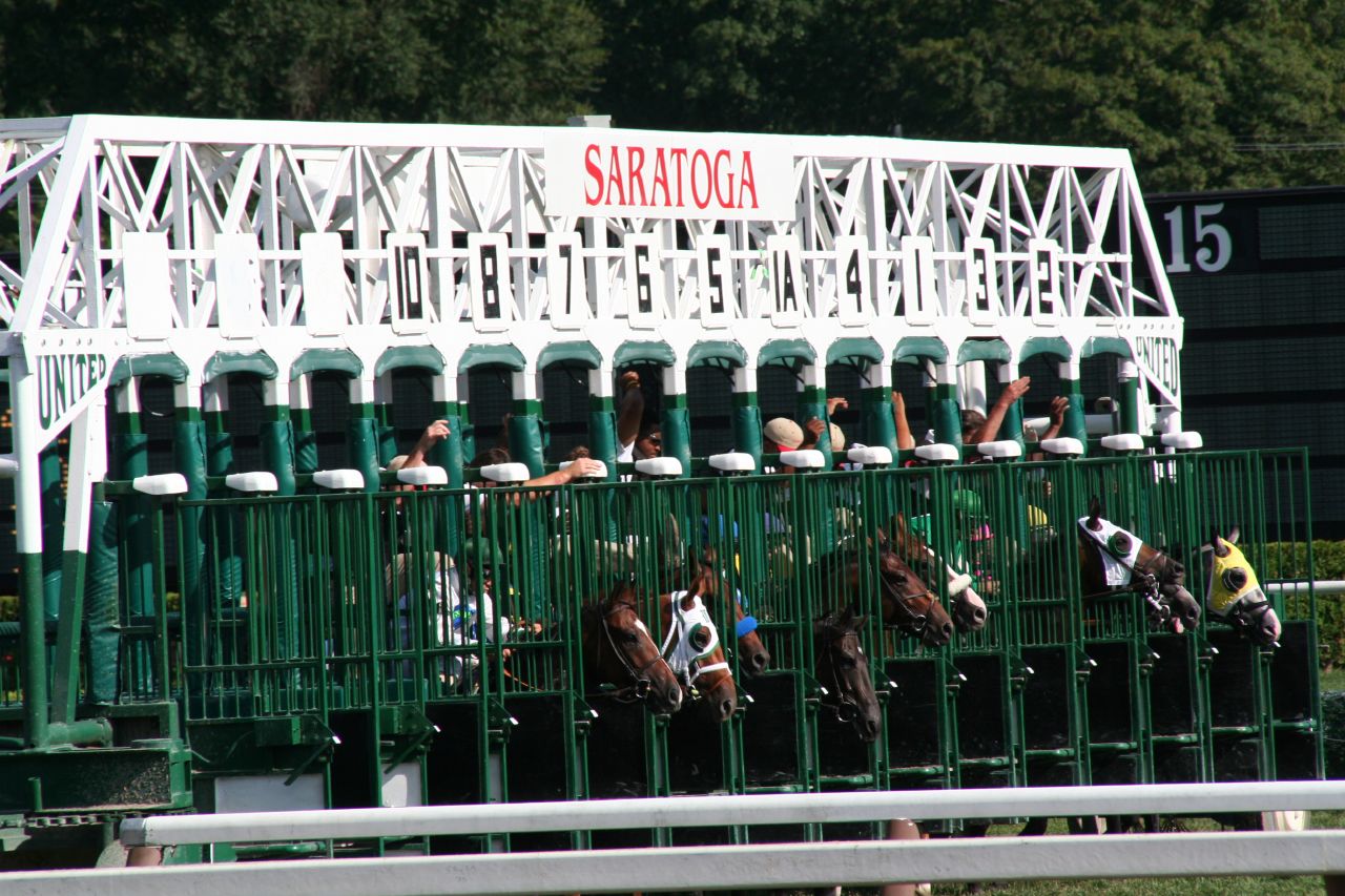 224780365_547a5ff8e7_o