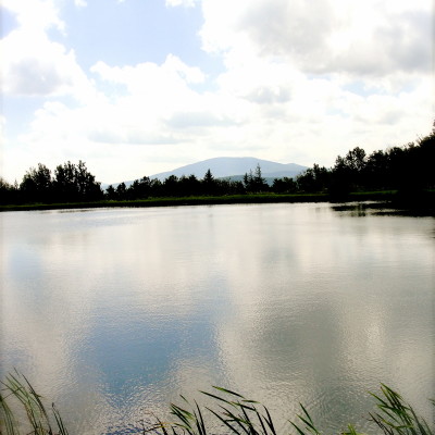 Vermont Weekend: grinning ear to ear.