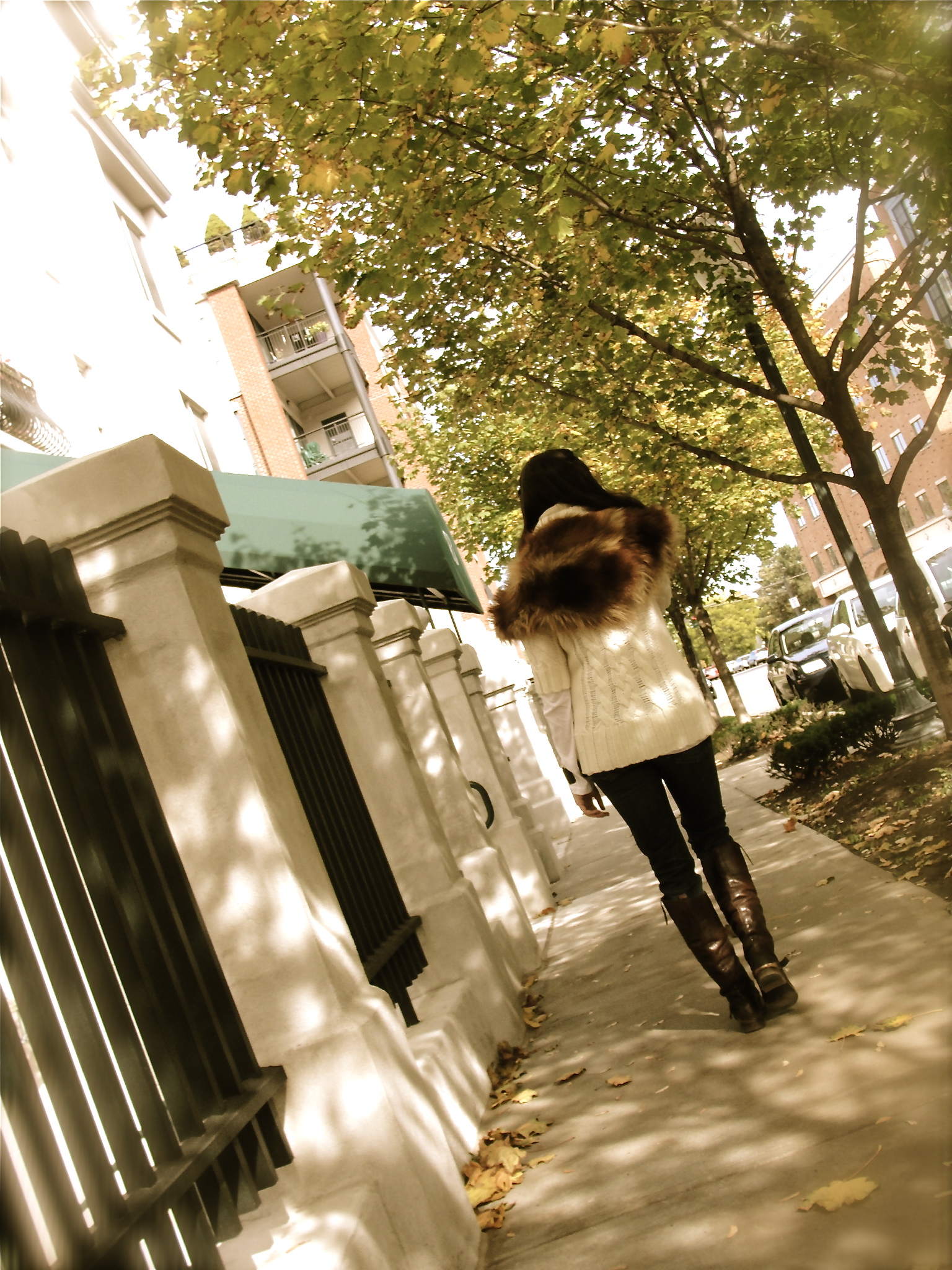 fox stole4 fox stole4