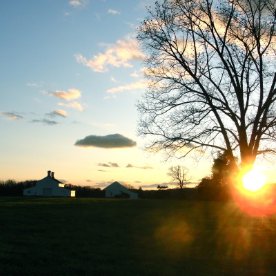 Virginia is for lovers.