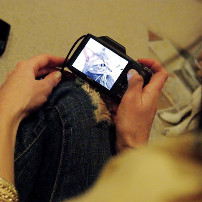 You do an awfully good impression of yourself.