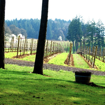 Vista Hills Vineyard & Winery