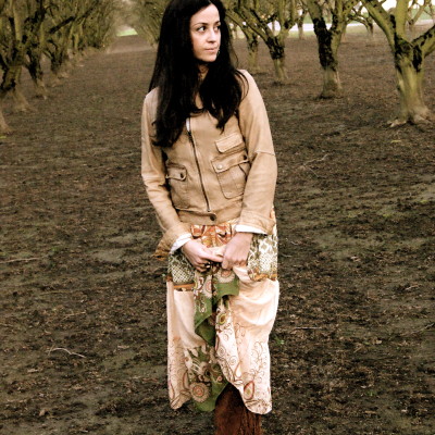 Sunset in a roadside orchard.