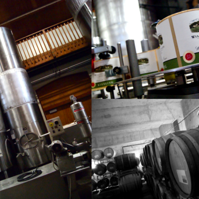 Inside Willamette Valley Vineyards.