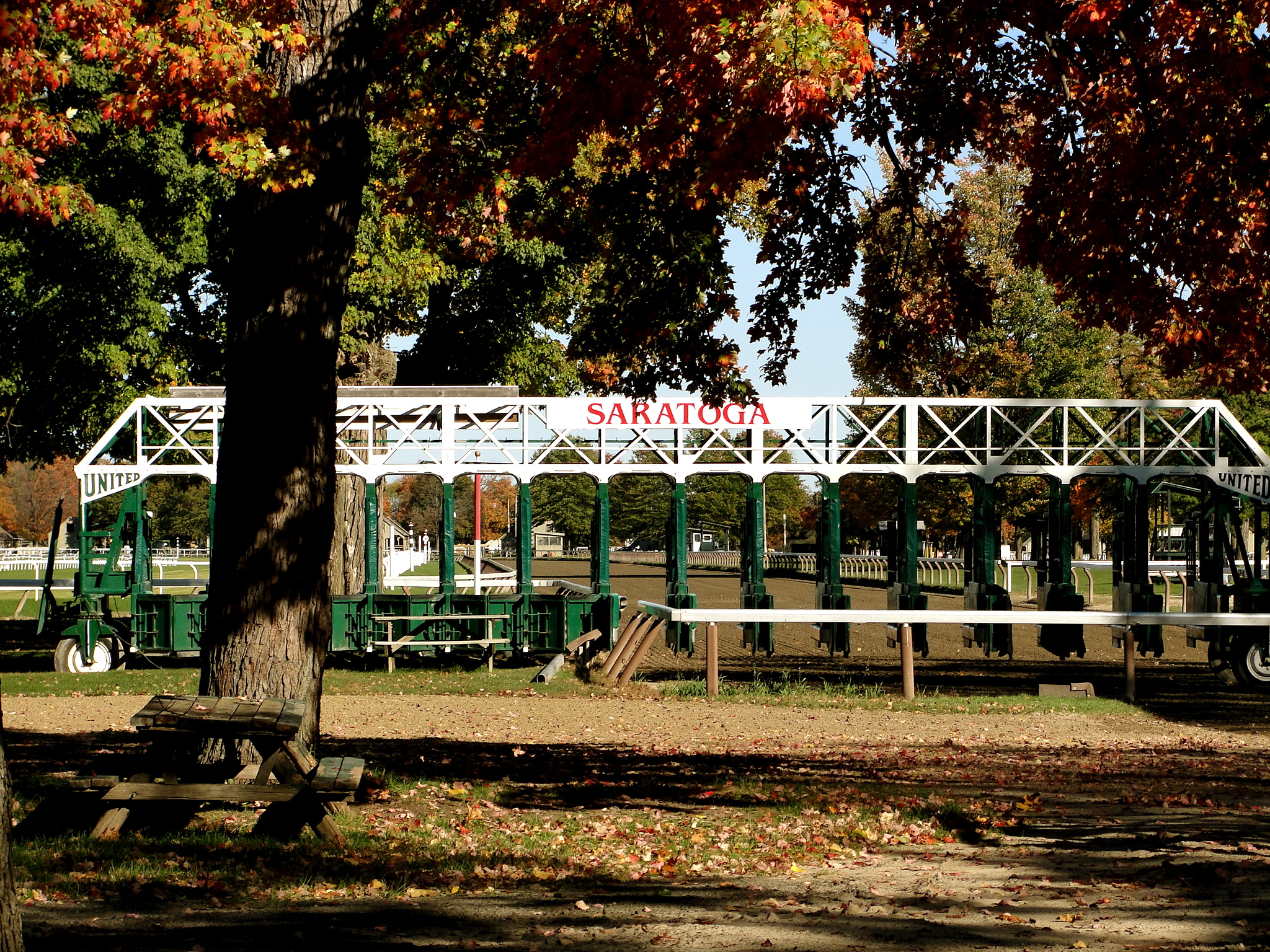 Saratoga Race Track starting gates fall