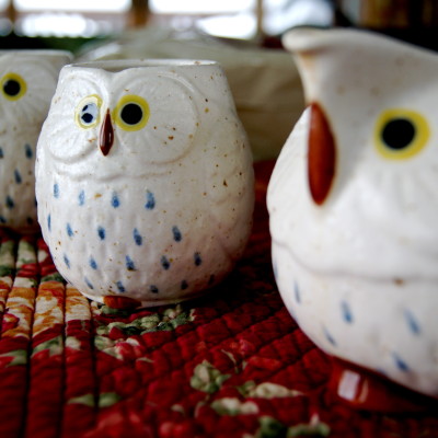 Rules to live by in an arctic territory.