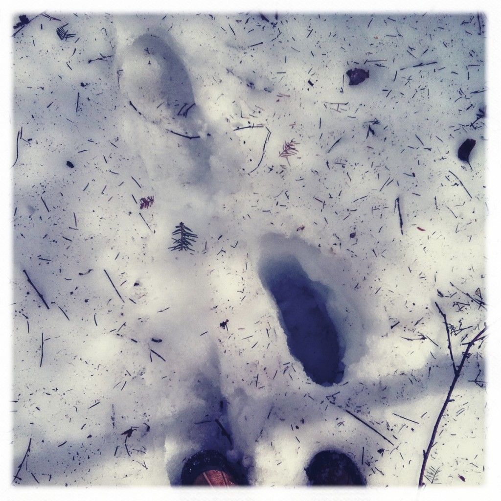 shallow step, deep step