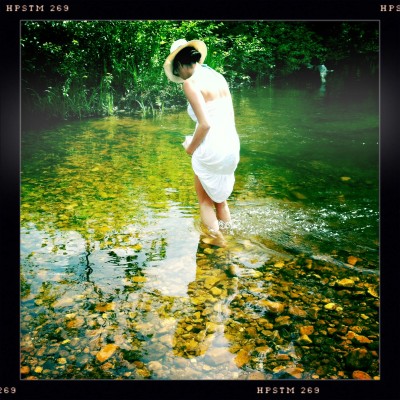 A fish in a trout stream.