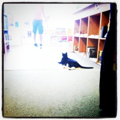 Reparations: Chop Suey’s good faith.