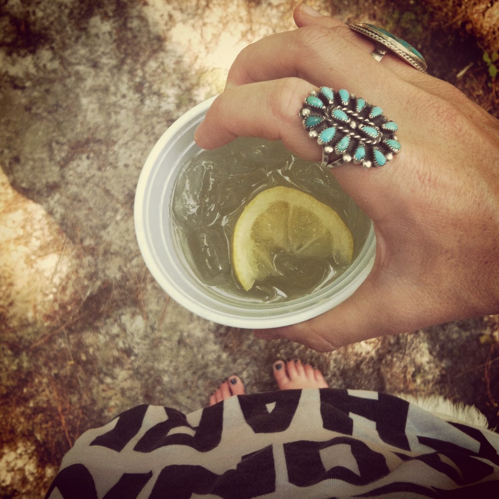 Wildfox Couture Rolling Stones t-shirt