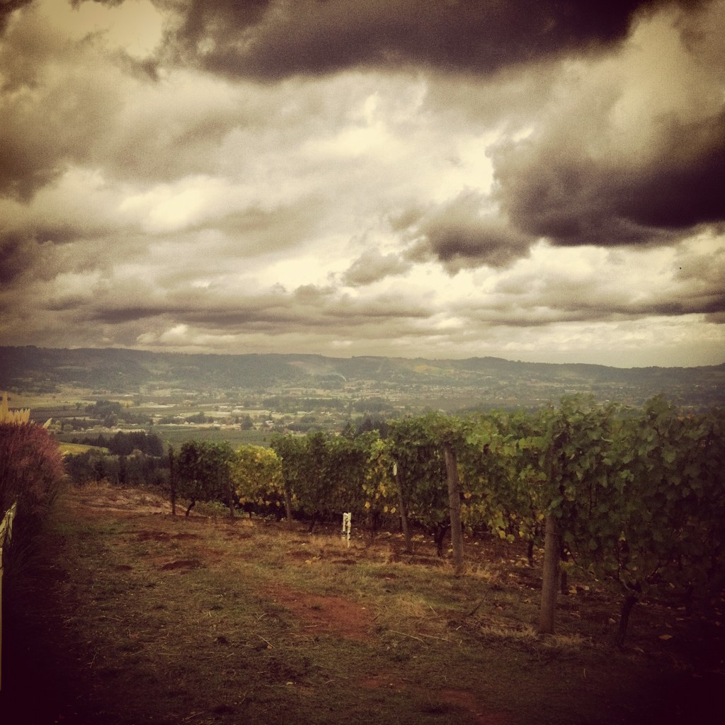 Lange Estate Winery view