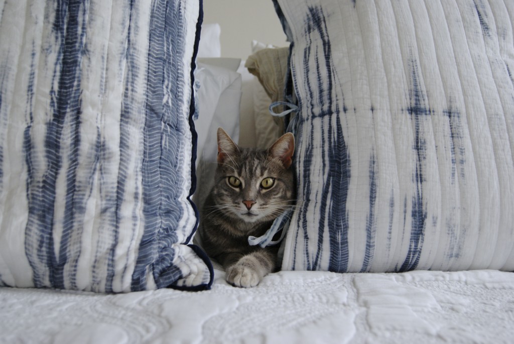 tie dyed shams anthro